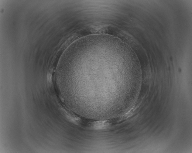 X0000078290090200611031242