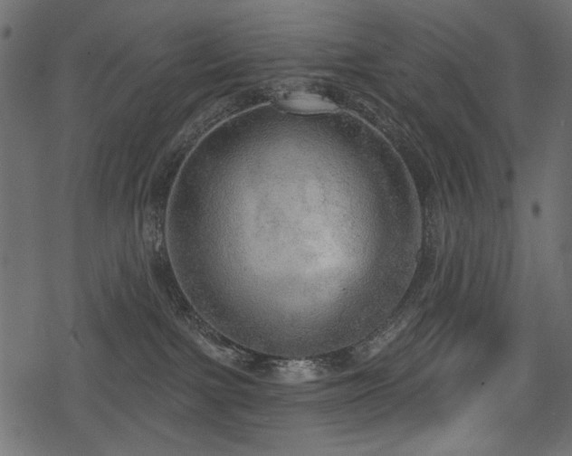 X0000078290091200611031242