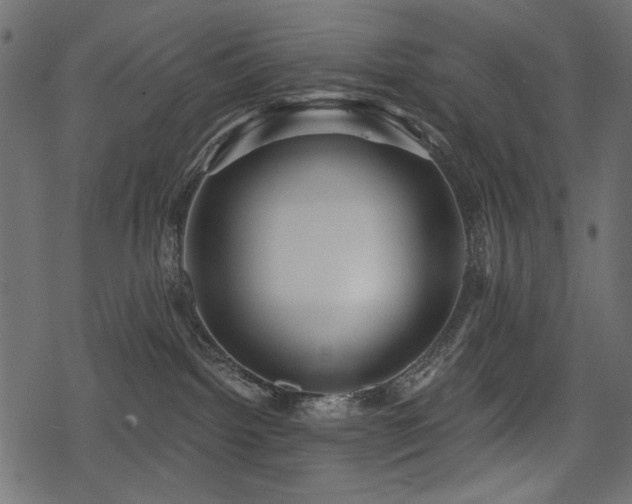 X0000078290092200611031242