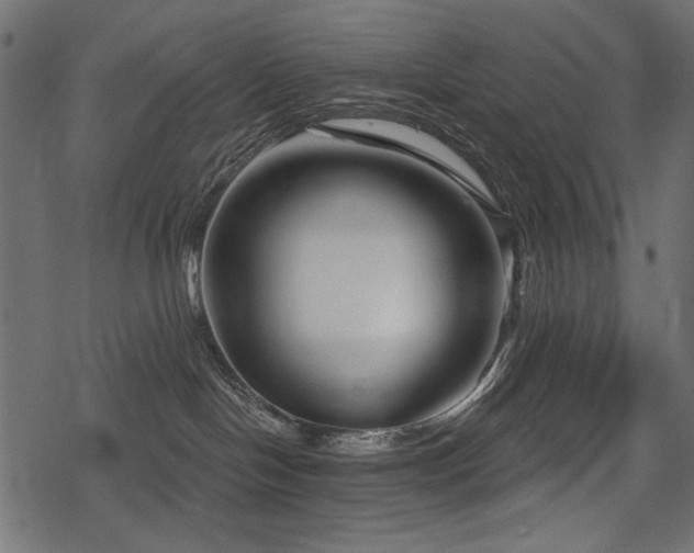 X0000078290094200611031242