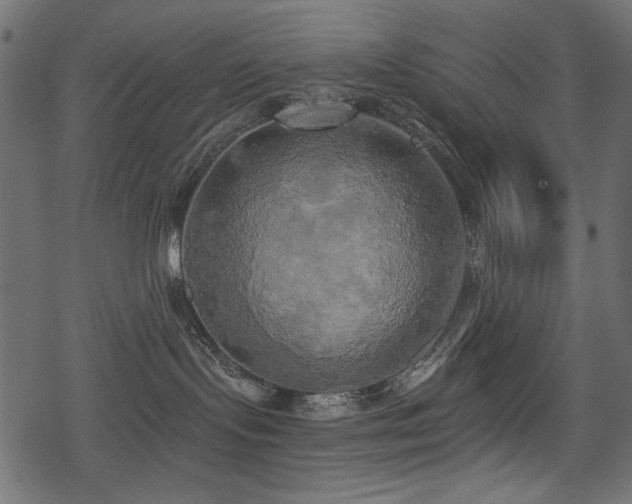 X0000078290095200611031242