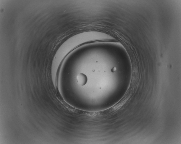 X0000078290096200611031242