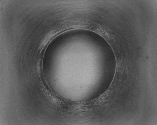 X0000078290098200611031242