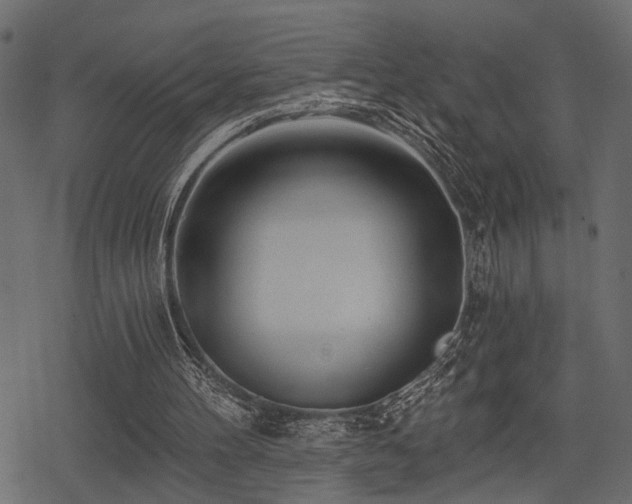 X0000078290100200611031242