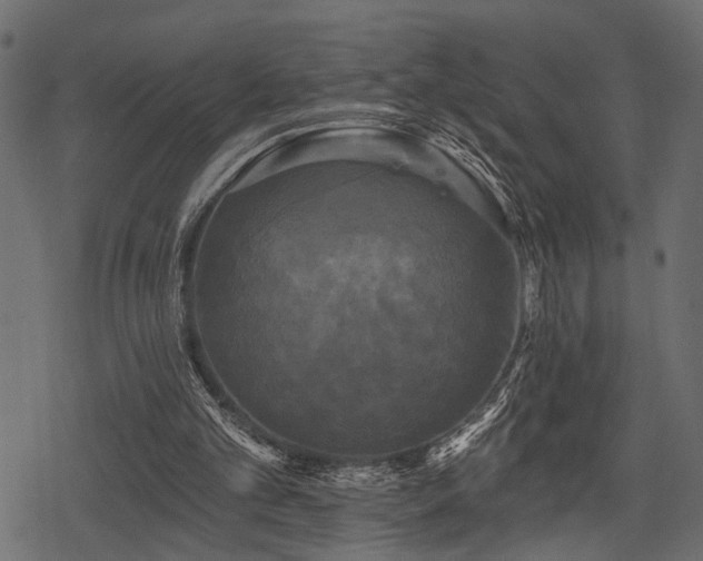 X0000078290101200611031242