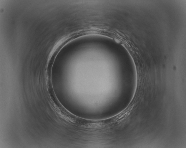 X0000078290102200611031241