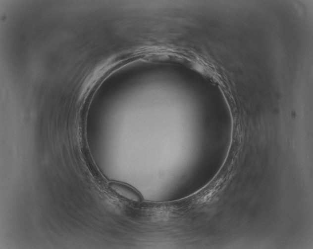 X0000078290103200611031241