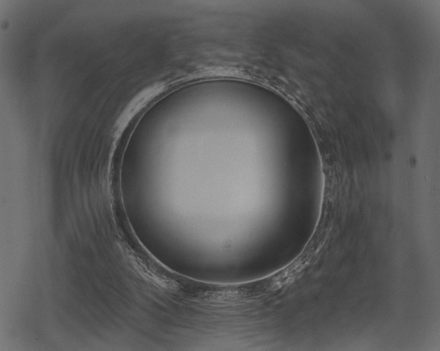 X0000078290104200611031241