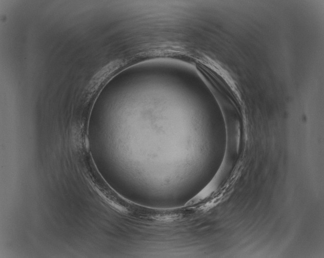 X0000078290105200611031241