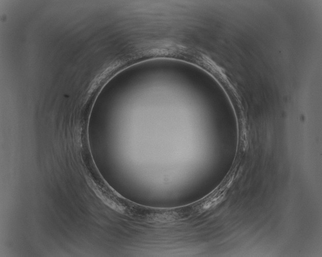 X0000078290106200611031241