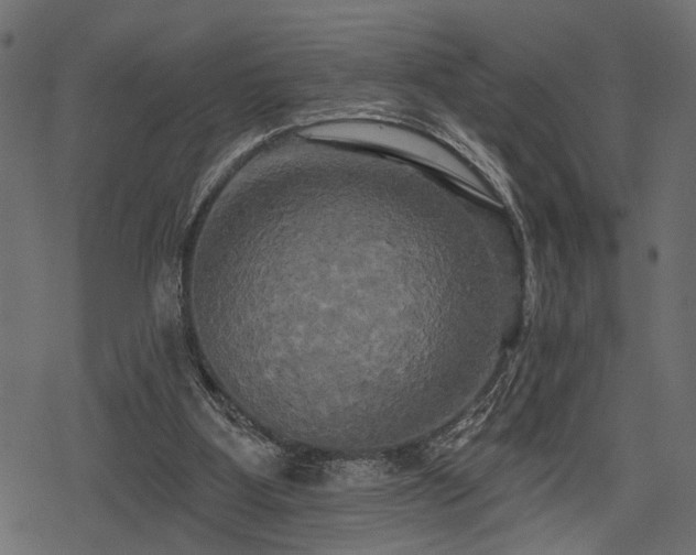 X0000078290107200611031241