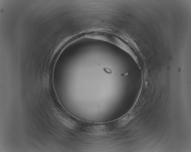 X0000078290108200611031241