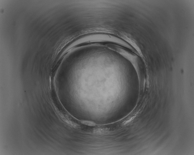 X0000078290109200611031241