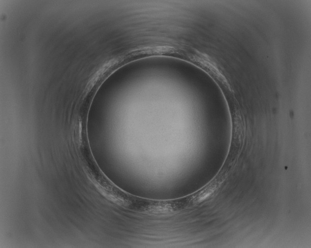 X0000078290110200611031241