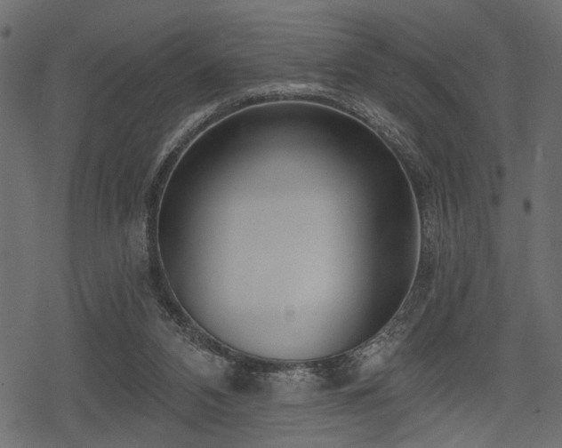 X0000078290112200611031241