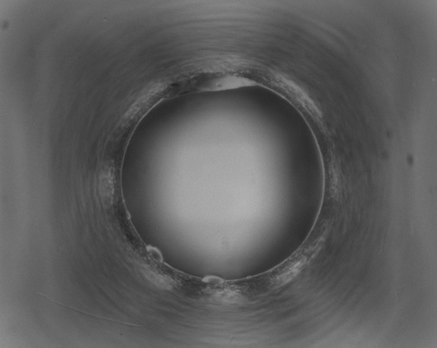 X0000078290113200611031241