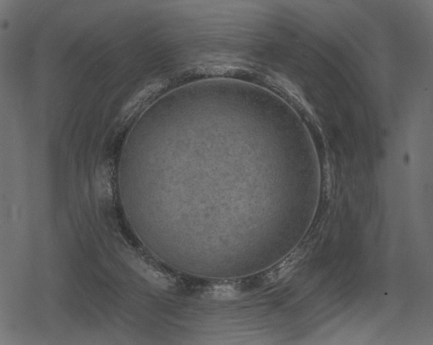 X0000078290114200611031241