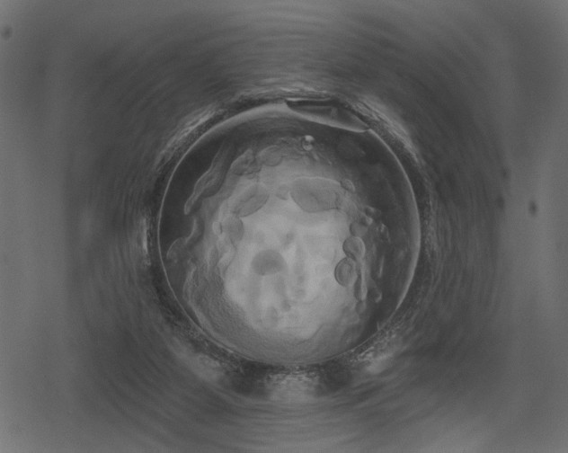 X0000078290115200611031241