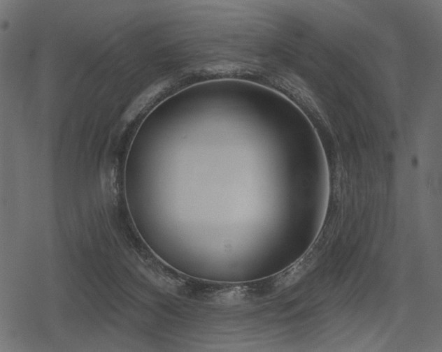 X0000078290116200611031241