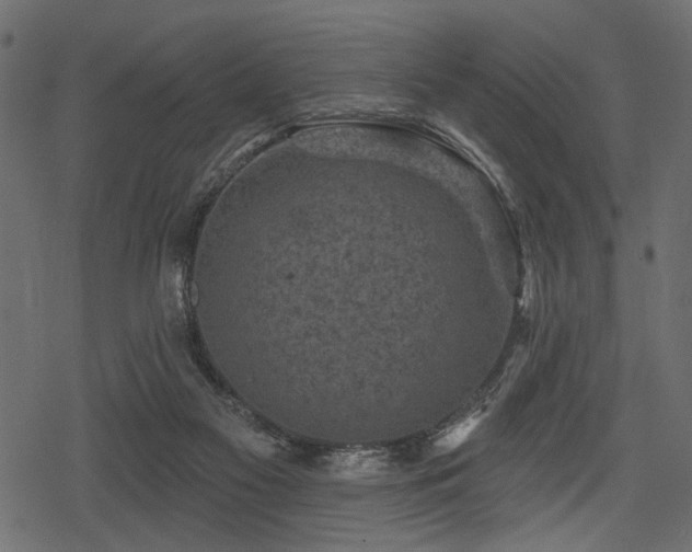 X0000078290117200611031241