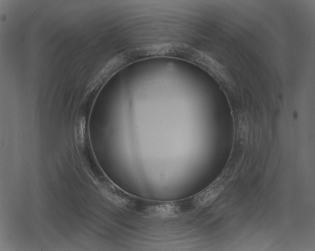 X0000078290118200611031241