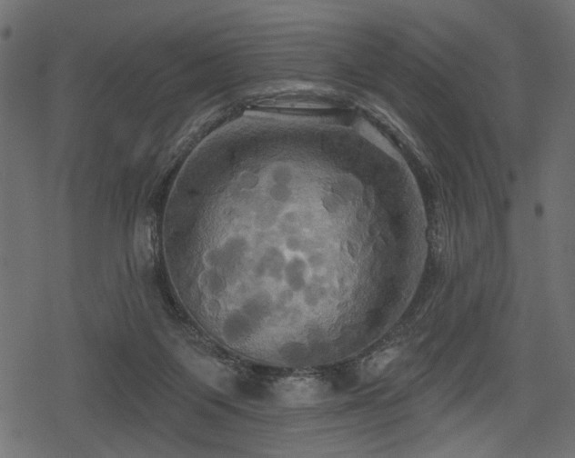 X0000078290119200611031241