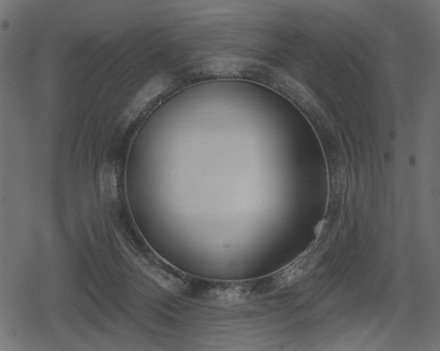 X0000078290120200611031241