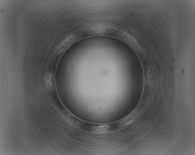 X0000078290122200611031241