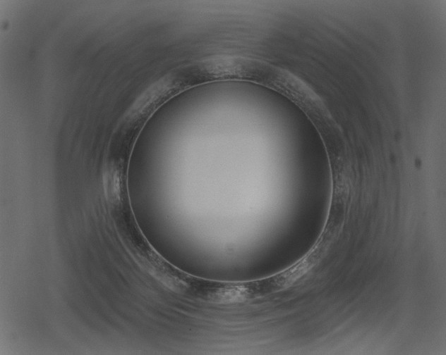 X0000078290124200611031241