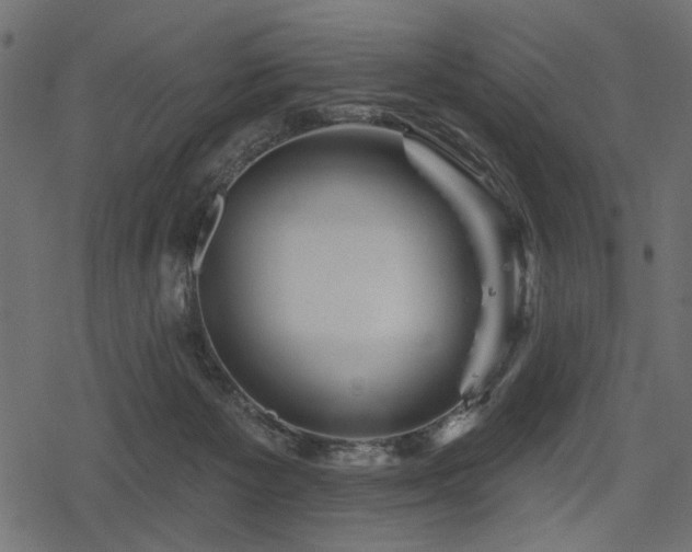 X0000078290125200611031241