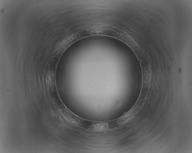 X0000078290126200611031241