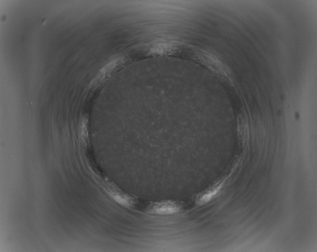 X0000078290127200611031241