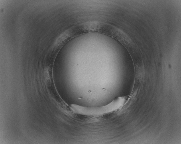 X0000078290128200611031241