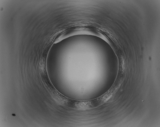 X0000078290129200611031241