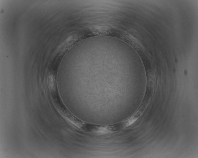 X0000078290130200611031241