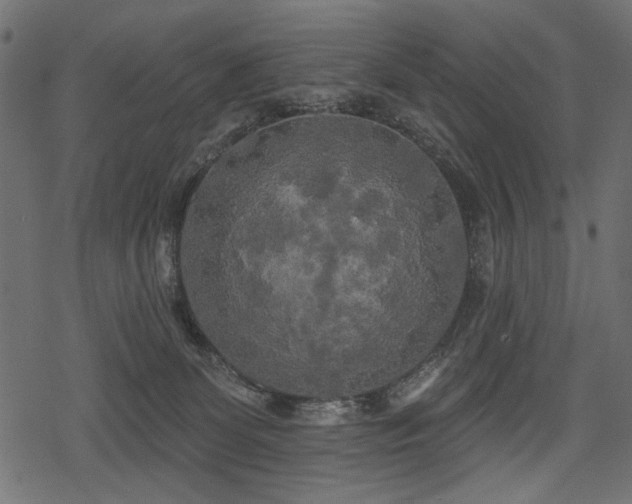 X0000078290131200611031241