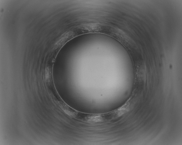 X0000078290132200611031241