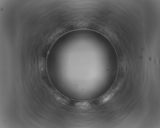 X0000078290133200611031241