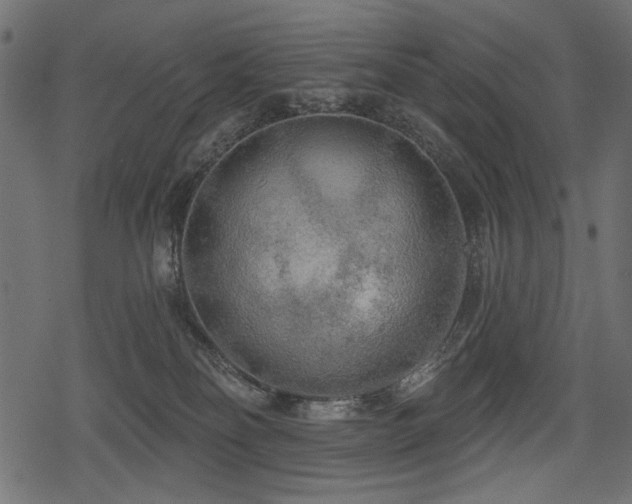 X0000078290134200611031241