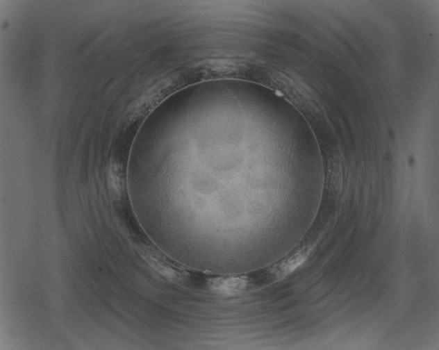 X0000078290135200611031241