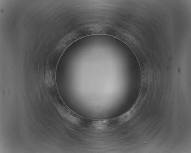 X0000078290136200611031241