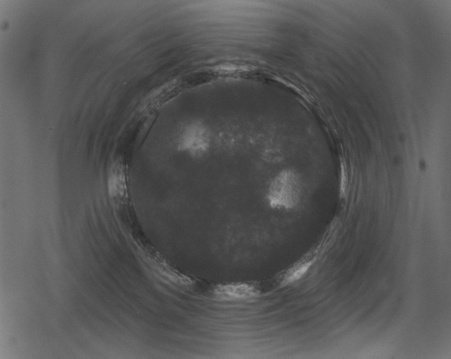 X0000078290137200611031241