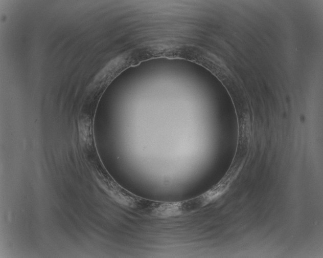 X0000078290138200611031241