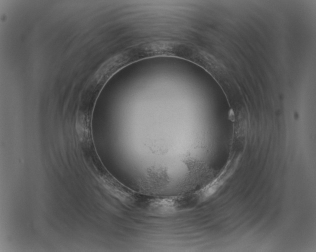 X0000078290140200611031241