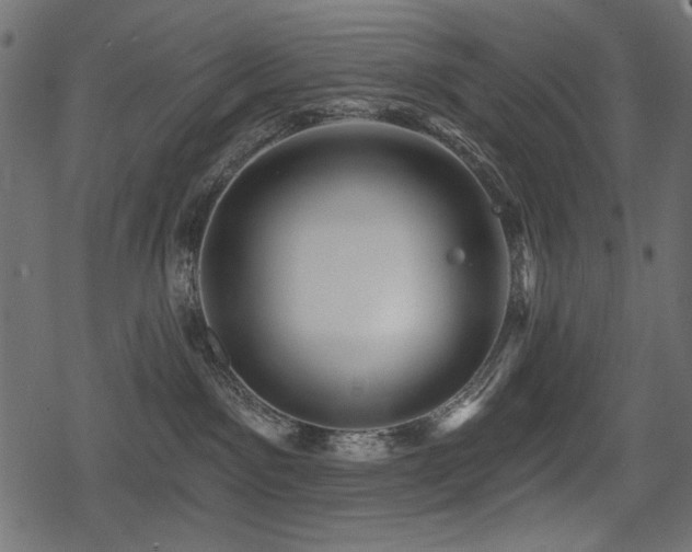 X0000078290141200611031241