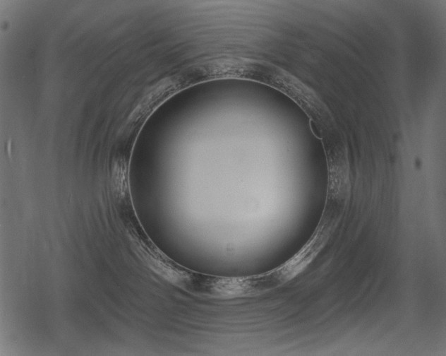 X0000078290142200611031241