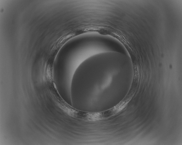 X0000078290143200611031241