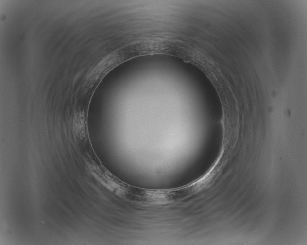 X0000078290144200611031241