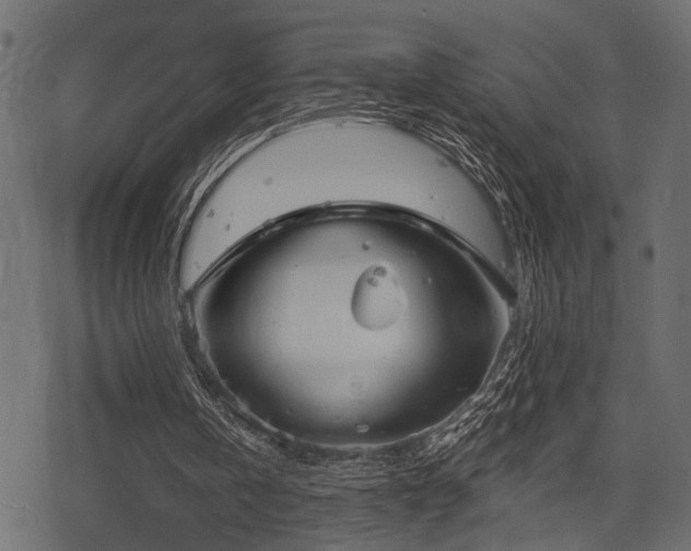 X0000078290146200611031240