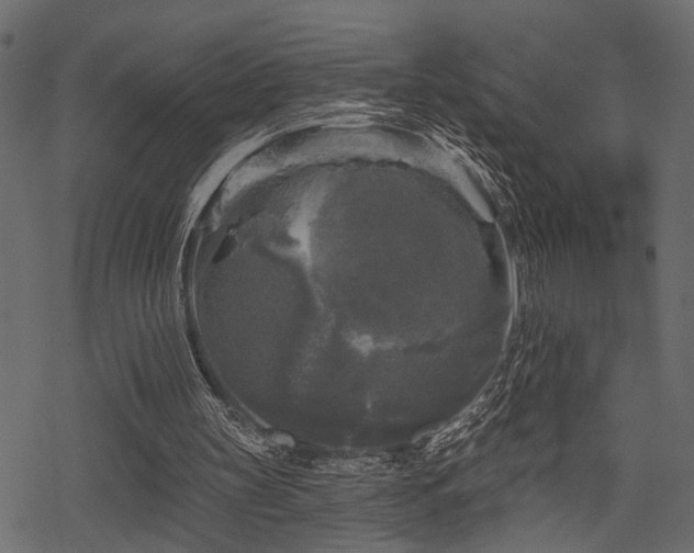 X0000078290147200611031240